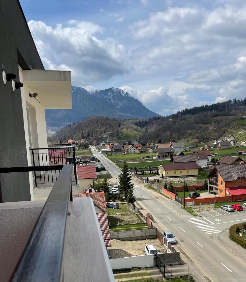 Apartament Crai Zărneşti エクステリア 写真